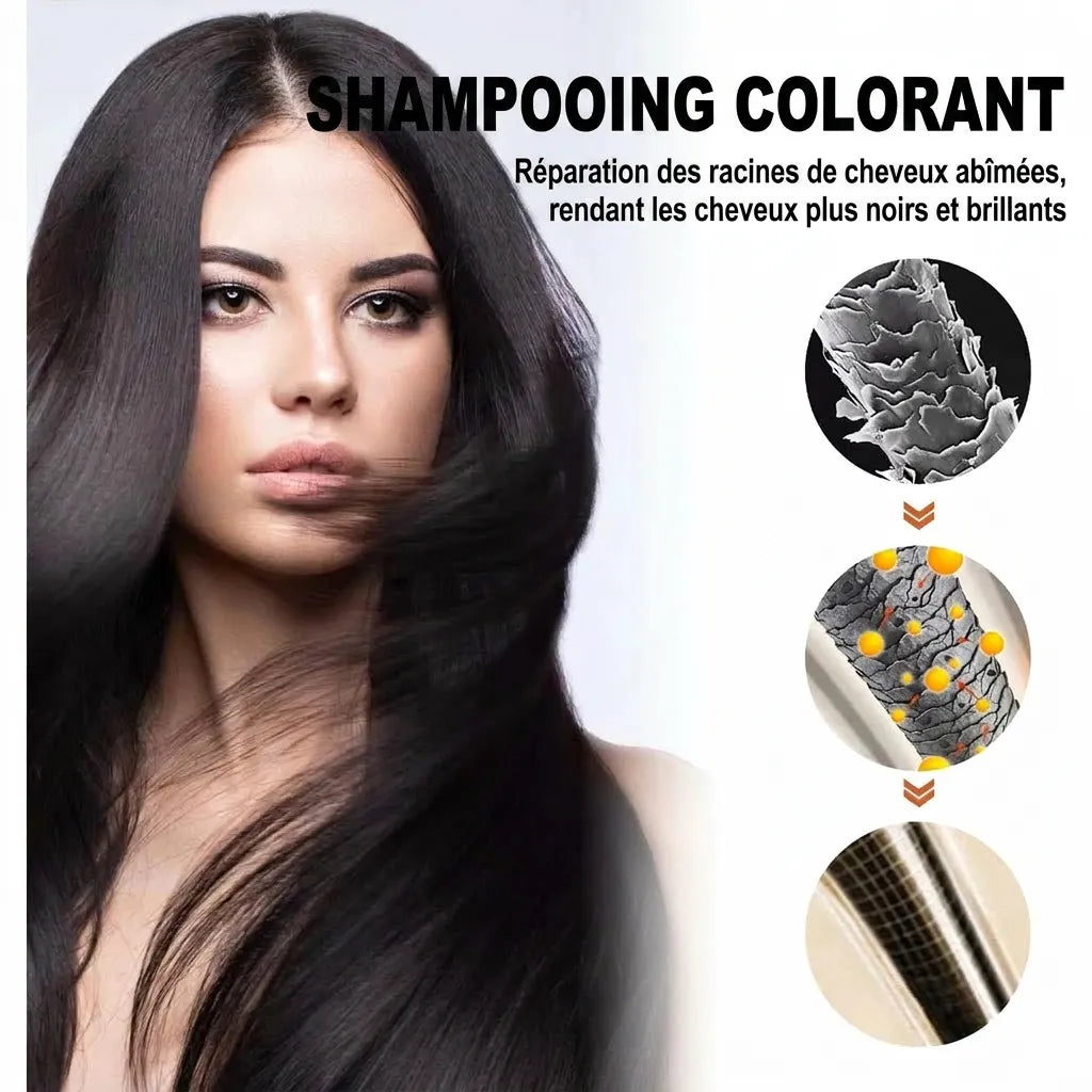Shampoing réparateur et colorant pour cheveux noirs | Veiggara